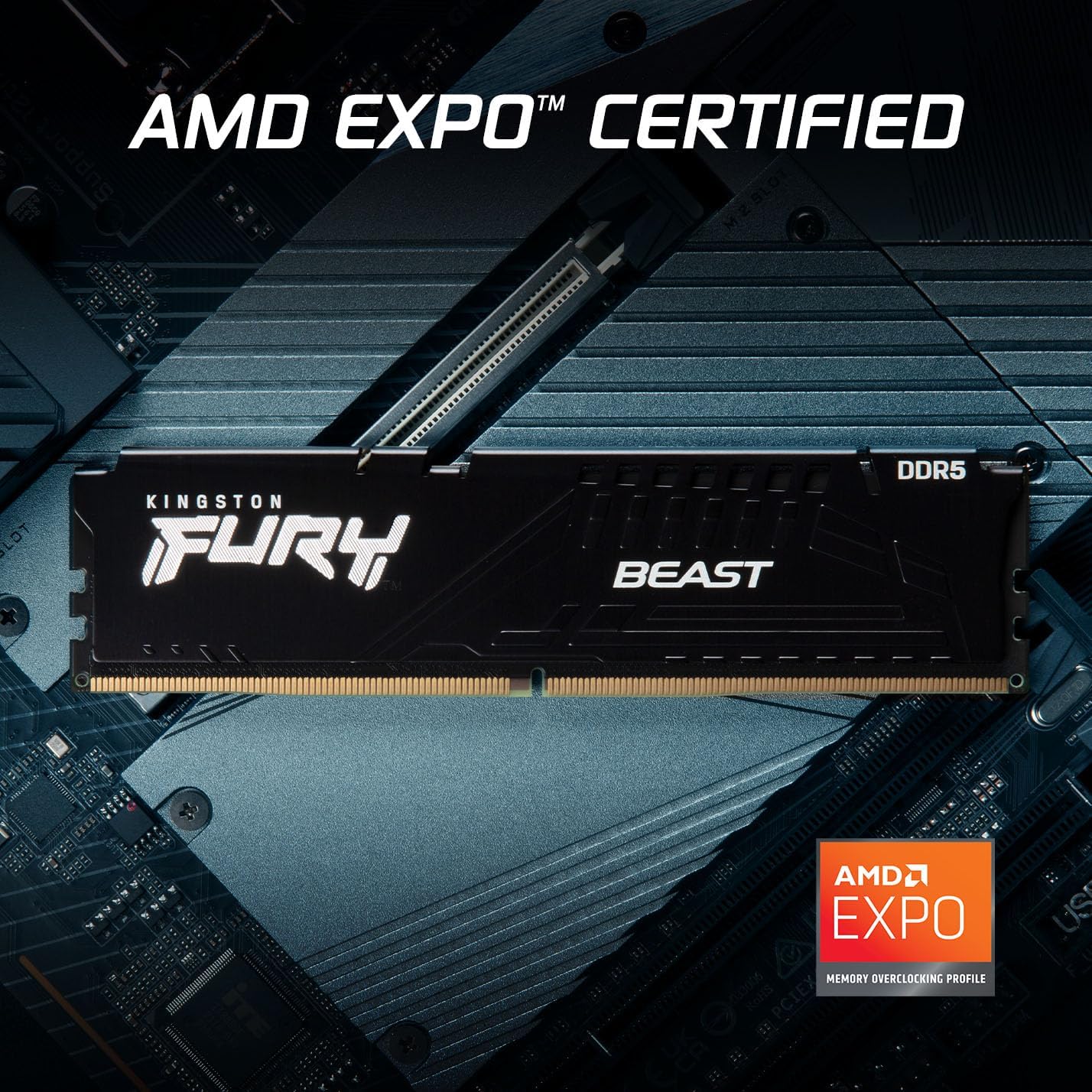 Kingston FURY Beast Black 16GB 6000MT/s DDR5 CL36 DIMM Desktop Gaming Memory Single Module - KF560C3
