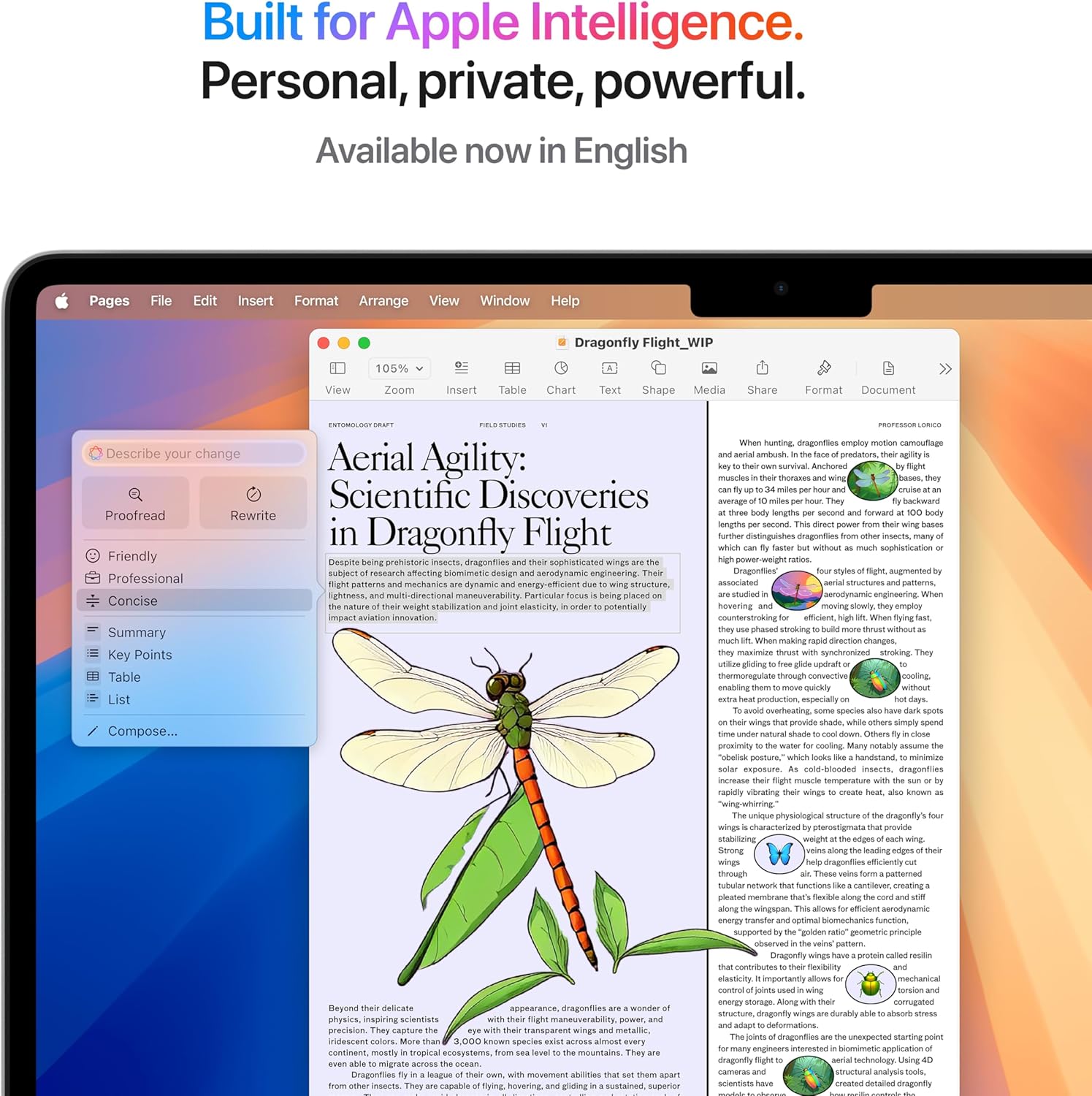 Apple 2025 MacBook Air 13-inch Silver