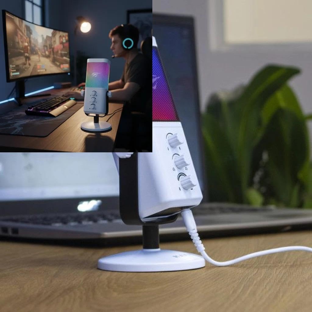Havit GK65 USB-C Portable RGB Wired Cardioid Condenser Microphone