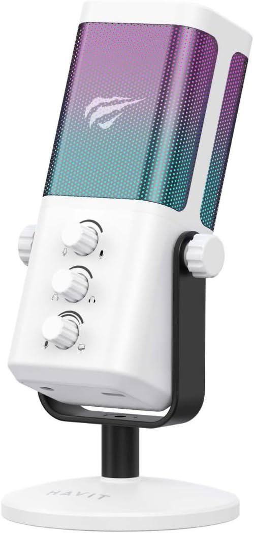 Havit GK65 USB-C Portable RGB Wired Cardioid Condenser Microphone