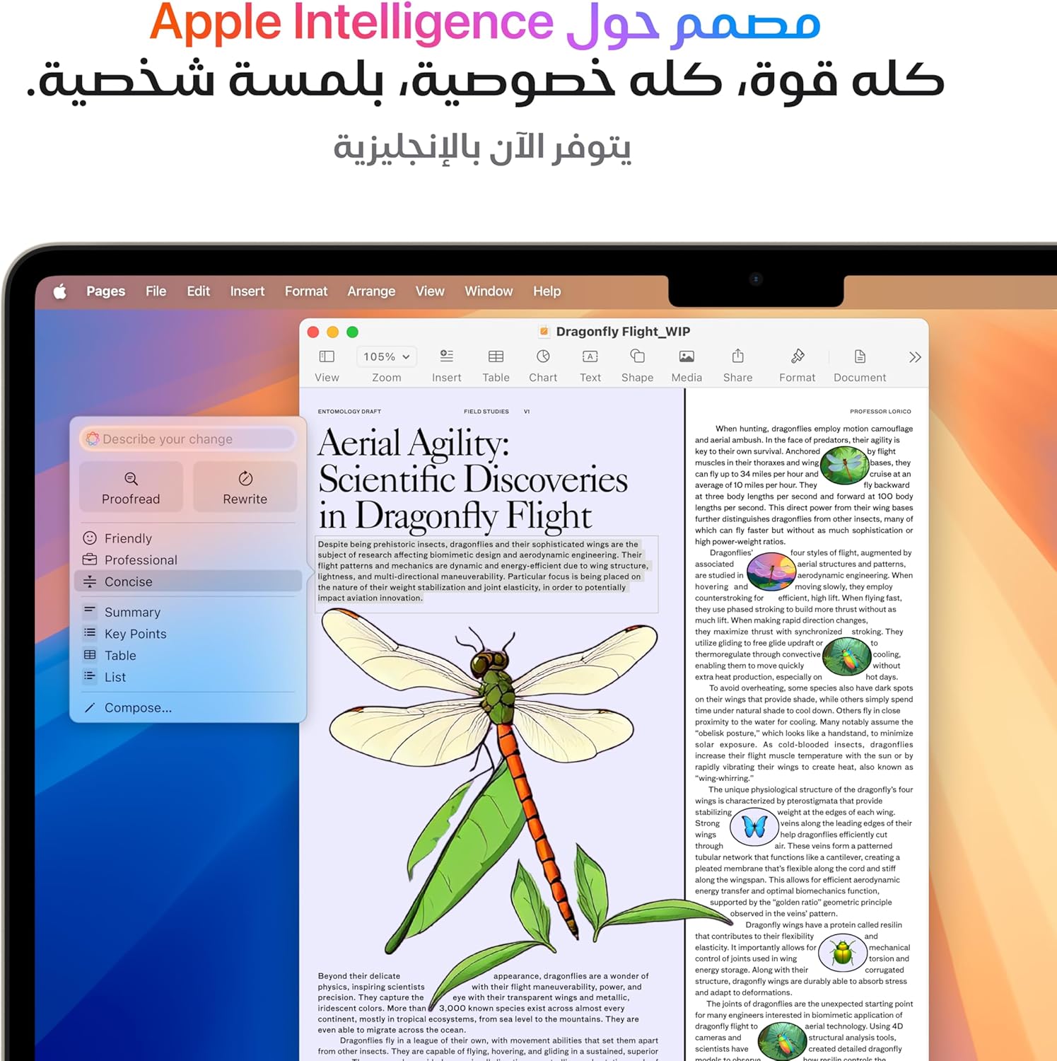 Apple 2025 MacBook Air (13 - inch, Apple M4 chip with 10 - core CPU and 10 - core GPU, 16GB Unified Memory - AHW Store