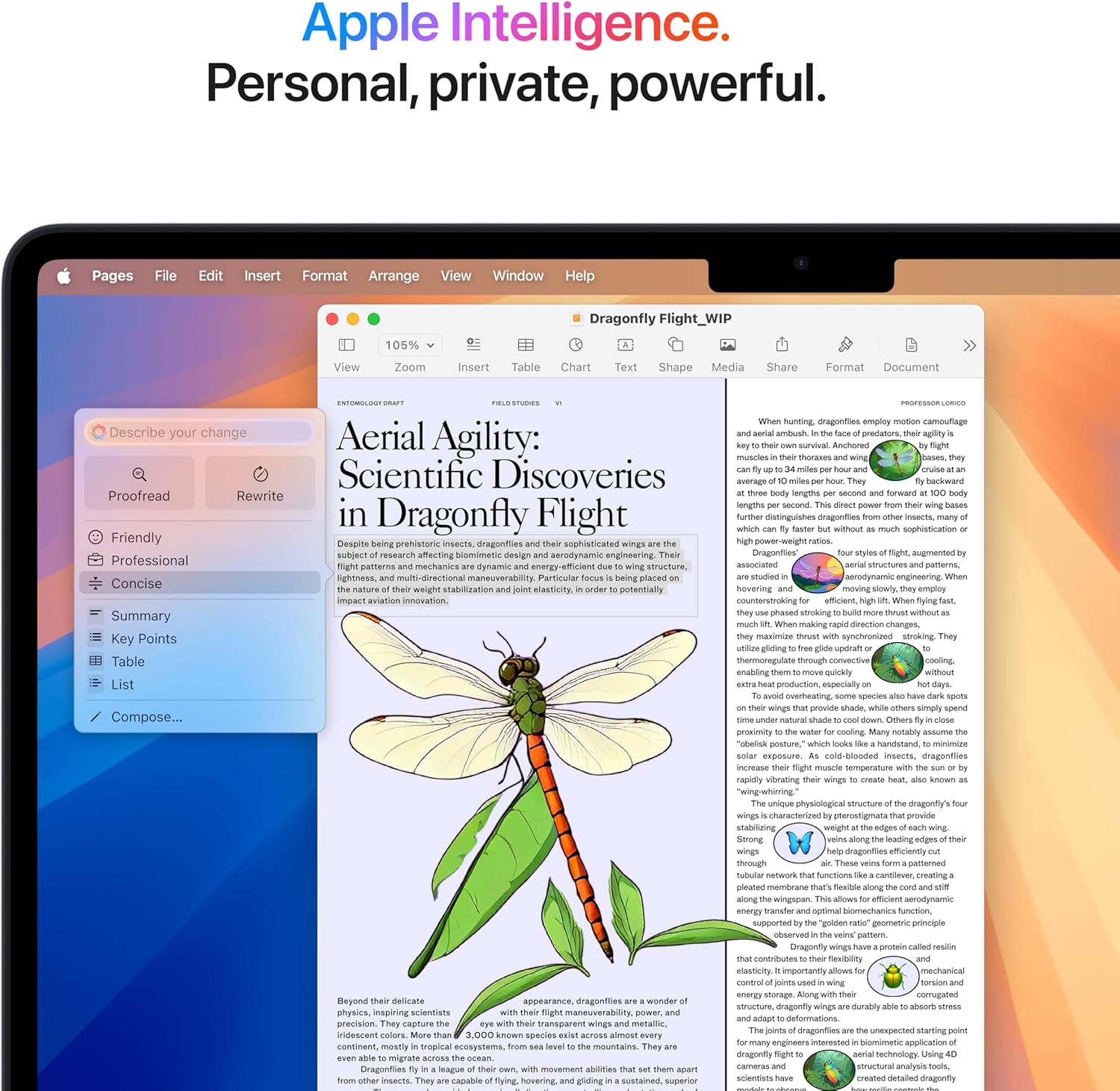 Apple 2025 MacBook Air 13 - inch Laptop with M4 chip: Built for Apple Intelligence, 13.6 - inch Liquid R - AHW Store
