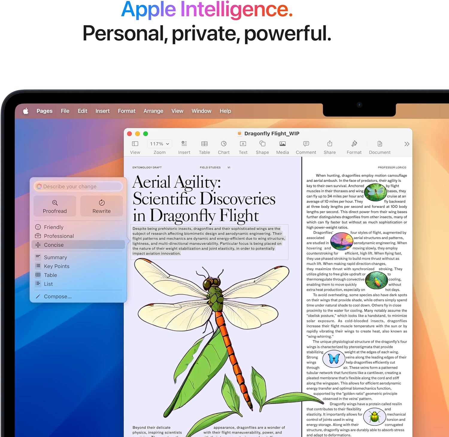 Apple 2025 MacBook Air 15 - inch Laptop with M4 chip: Built for Apple Intelligence, 15.3 - inch Liquid R - AHW Store