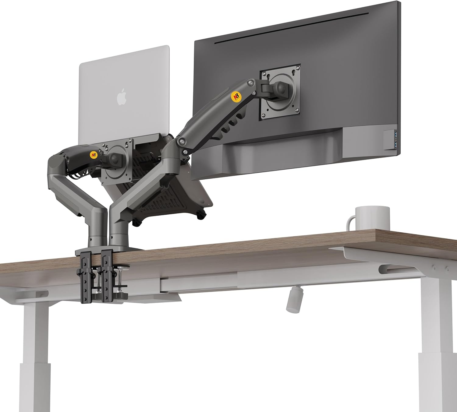 ergoflex North Bayou Nb F160 - FP Dual Arm 17 - 27 Monitor Holder And Laptop Stand - AHW Store