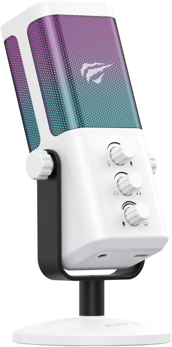 Havit GK65 USB-C Portable RGB Wired Cardioid Condenser Microphone - AHW Store