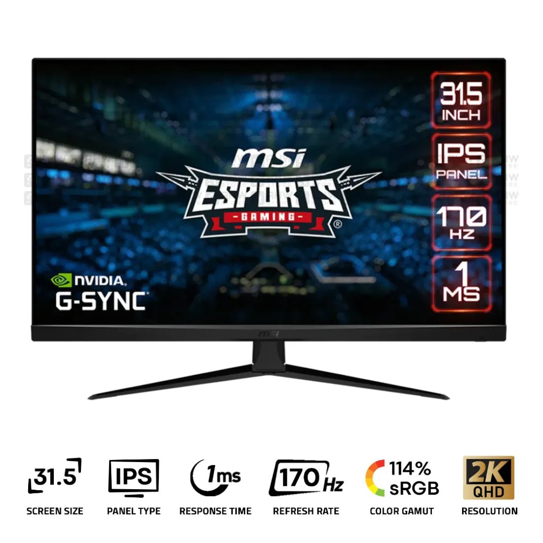 MSI G321Q Gaming Monitor 31.5 Inch IPS 2K 170Hz 1Ms Black - AHW Store