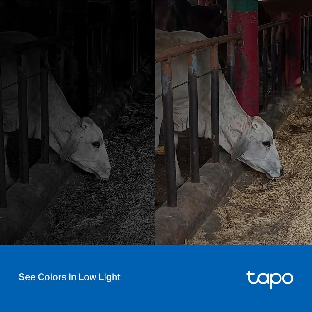 Tapo TP - Link Outdoor Security Wi - Fi Smart Camera, 4MP, Motion Detection, Starlight Night Vision, SD - AHW Store
