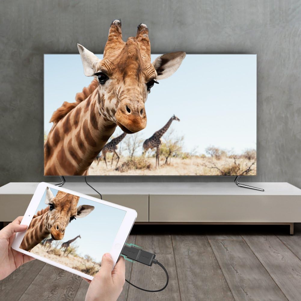 UGREEN Mini HDMI to HDMI Adapter - AHW Store