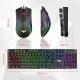 HAVIT KB393L Combo Rainbow Mechanical Keyboard and Mouse RGB - Blue Switches