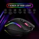 HAVIT KB511L RGB Combo Mechanical Keyboard and Mouse and Mousepad - Blue Switches
