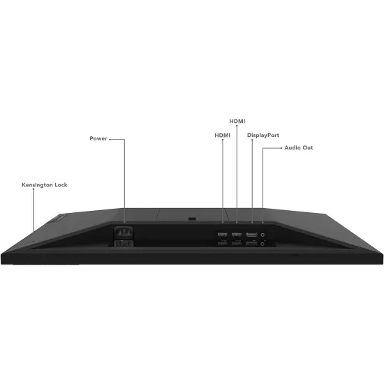 Lenovo G25-20 Gaming Monitor 24.5 Inch TN FHD 165Hz 0.8ms Black