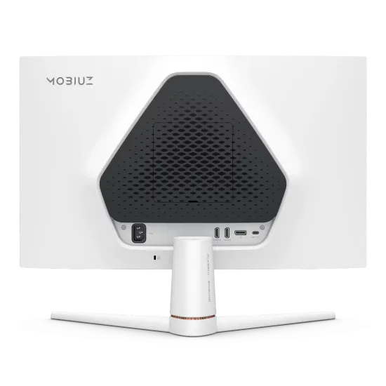 BenQ MOBIUZ EX251 Gaming Monitor 25 Inch IPS FHD 220Hz Black