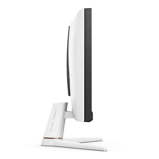BenQ MOBIUZ EX251 Gaming Monitor 25 Inch IPS FHD 220Hz Black