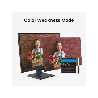 BenQ GW2490 Designer Monitor 24 Inch IPS FHD 100Hz 5Ms Black | AHW