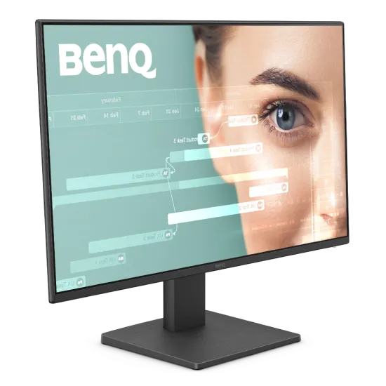 BenQ GW2491 Office Monitor 24 Inch IPS FHD 100Hz 5Ms Black