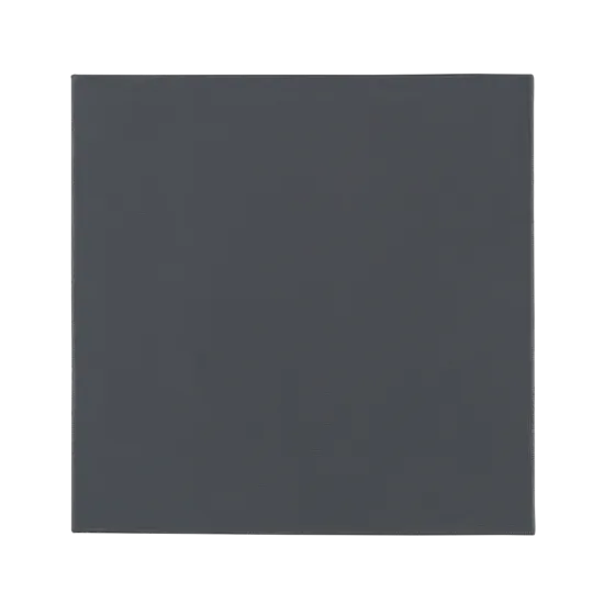 Thermal Grizzly Minus Pad Pro 100x100x2.0mm Thermal Pad