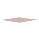 Thermal Grizzly Minus Pad 8 100x100x0.5mm Thermal Pad