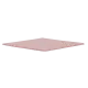Thermal Grizzly Minus Pad 8 100x100x1.5mm Thermal Pad